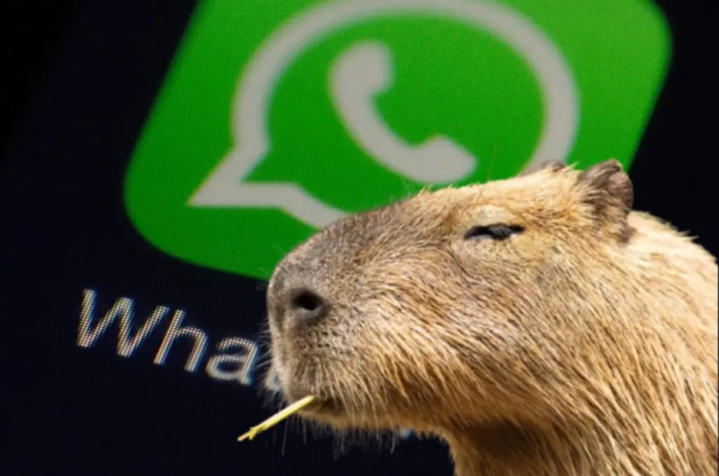Whatsapp "modo capibara"? - Touch
